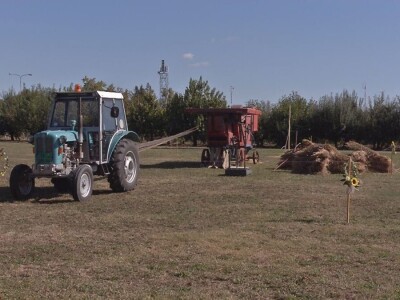 Vršaj žita nekad i sad