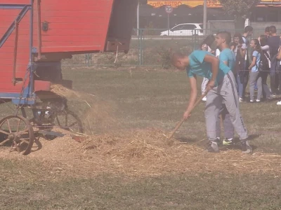 Vršaj žita nekad i sad