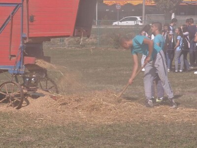 Vršaj žita nekad i sad