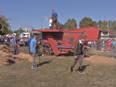 Vršaj žita nekad i sad