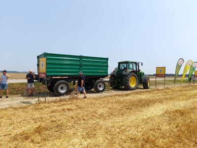 Vršidba i vaganje pokusa BC pšenica u Tomašancima
