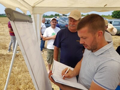 Vršidba i vaganje pokusa BC pšenica u Tomašancima