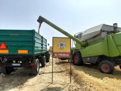 Vršidba i vaganje pokusa BC pšenica u Tomašancima