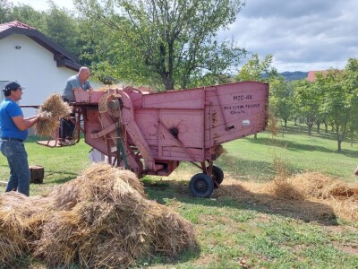 Vršidba pšenice u  Donjoj Lupljanici Vršidba pšenice u  Donjoj Lupljanici