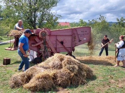 Vršidba pšenice u  Donjoj Lupljanici Vršidba pšenice u  Donjoj Lupljanici