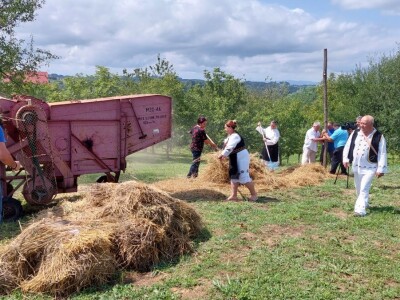 Vršidba pšenice u  Donjoj Lupljanici Vršidba pšenice u  Donjoj Lupljanici