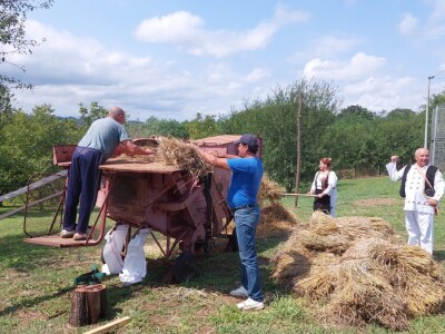 Vršidba pšenice u  Donjoj Lupljanici Vršidba pšenice u  Donjoj Lupljanici