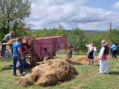 Vršidba pšenice u  Donjoj Lupljanici Vršidba pšenice u  Donjoj Lupljanici