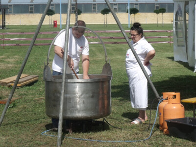 Sprema se guščji paprikaš