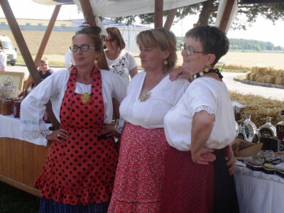 Žetva i vršidba u prošlosti