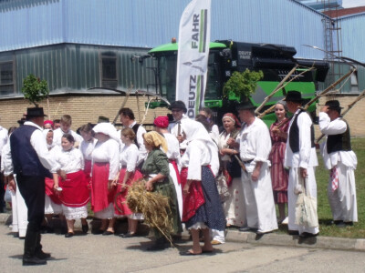 Žetva i vršidba u prošlosti