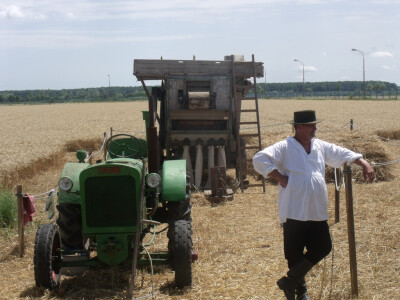 Žetva i vršidba u prošlosti