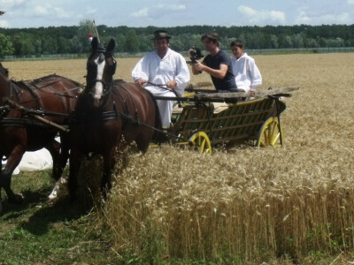 Žetva i vršidba u prošlosti