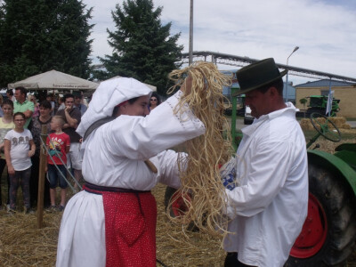 Žetva i vršidba u prošlosti