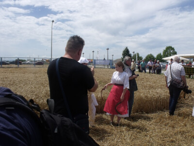 Žetva i vršidba u prošlosti