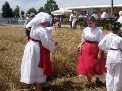 Žetva i vršidba u prošlosti