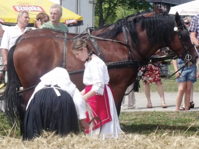 Žetva i vršidba u prošlosti