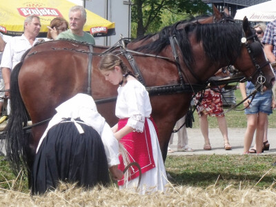 Žetva i vršidba u prošlosti