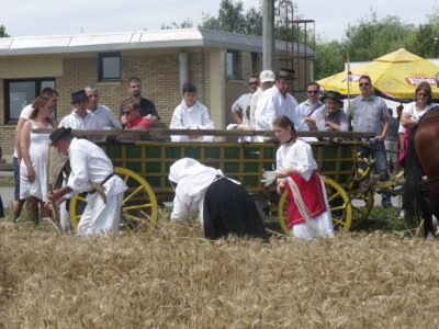 Žetva i vršidba u prošlosti