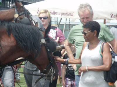 Žetva i vršidba u prošlosti