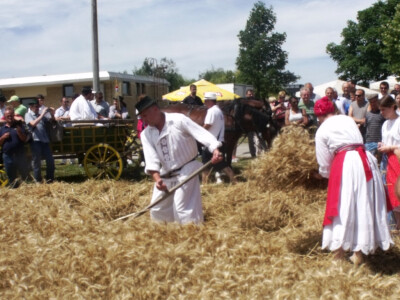 Žetva i vršidba u prošlosti