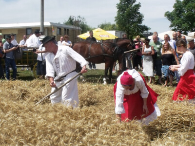 Žetva i vršidba u prošlosti