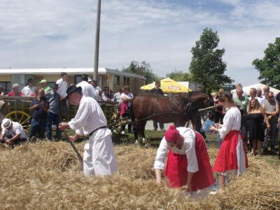 Žetva i vršidba u prošlosti
