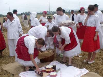 Žetva i vršidba u prošlosti