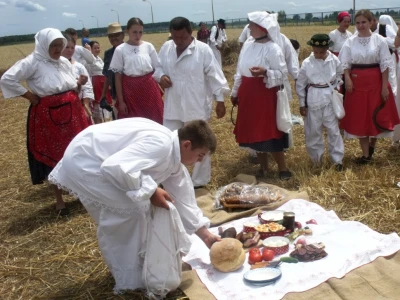 Žetva i vršidba u prošlosti