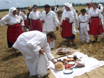 Žetva i vršidba u prošlosti