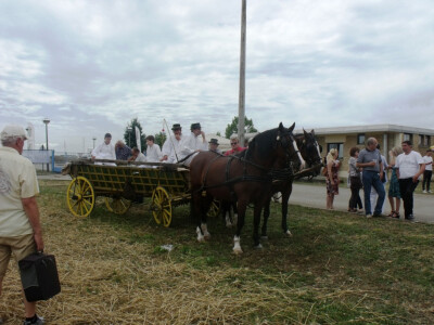 Žetva i vršidba u prošlosti