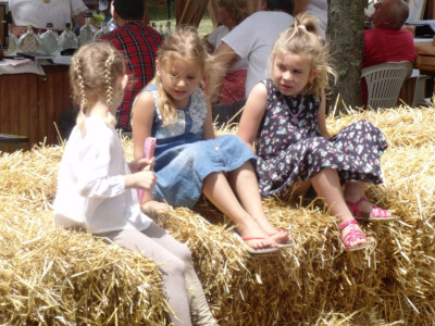 Žetva i vršidba u prošlosti