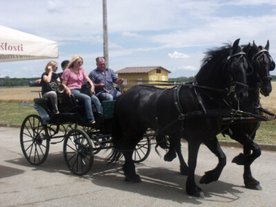 Žetva i vršidba u prošlosti