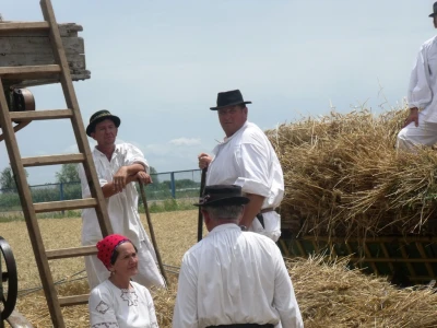 Žetva i vršidba u prošlosti