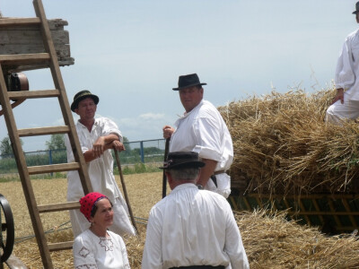 Žetva i vršidba u prošlosti