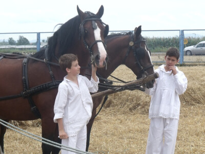 Žetva i vršidba u prošlosti