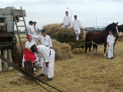 Žetva i vršidba u prošlosti