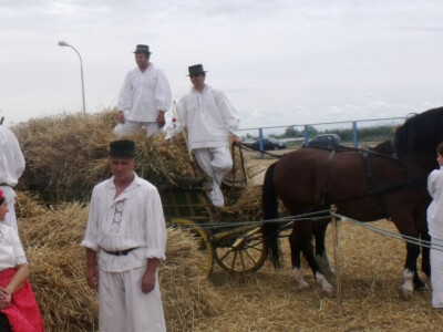 Žetva i vršidba u prošlosti
