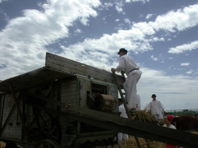 Žetva i vršidba u prošlosti