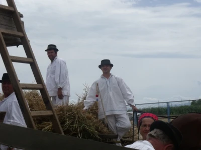Žetva i vršidba u prošlosti