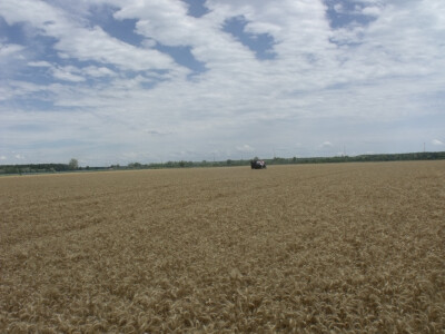 Žetva i vršidba u prošlosti