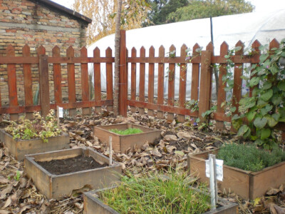 Začinsko i lekovito bilje