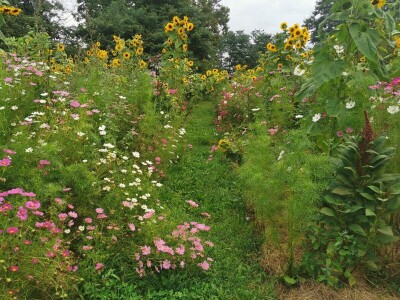 Vrt koji nikad nije prazan