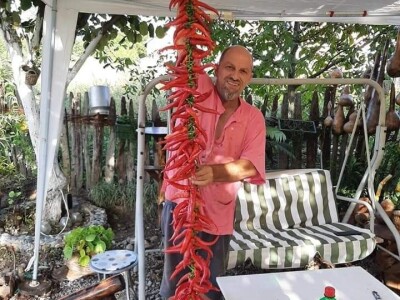 Vrt sa stotinama biljaka