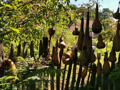 Vrt sa stotinama biljaka