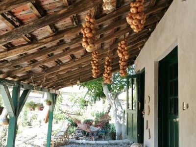 Vrt sa stotinama biljaka