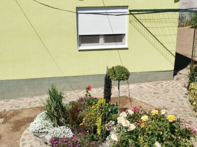 Vrt sa stotinama biljaka