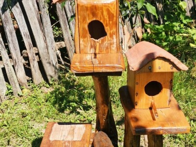 Vrt sa stotinama biljaka