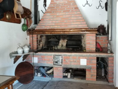 Vrt sa stotinama biljaka