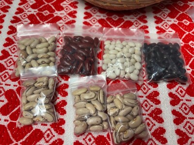 Vrtlarski dan u Brezovici